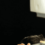 Barbearia João Davino