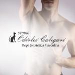 Studio Odirlei Calegari Depilação & Estética